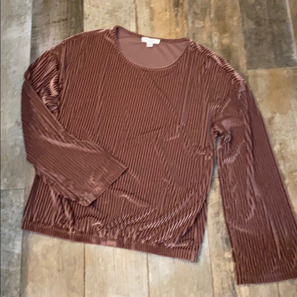 Carolina Belle velvet top